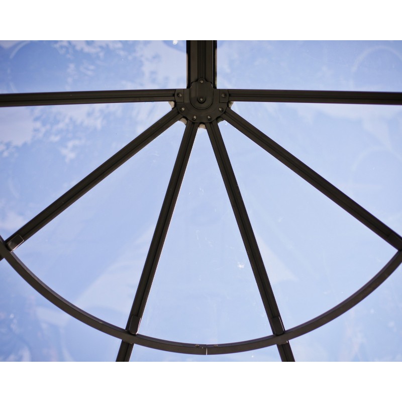 Canopia Lily - Toldo para exterior (175 x 125 x 80 cm), transparente