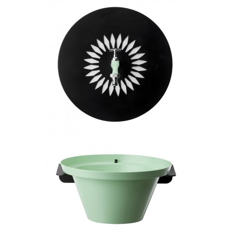 Fuente de Pared Aquapoint Daisy Fountain Sage Green