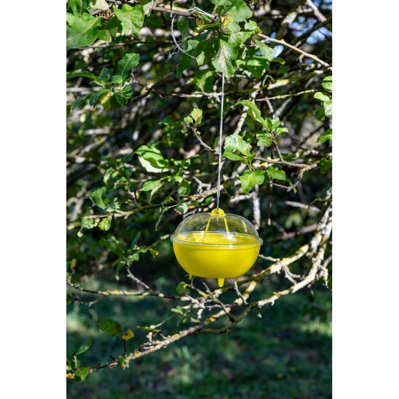 Kit Trampa MELATRAP + VESPOKIL InVerde