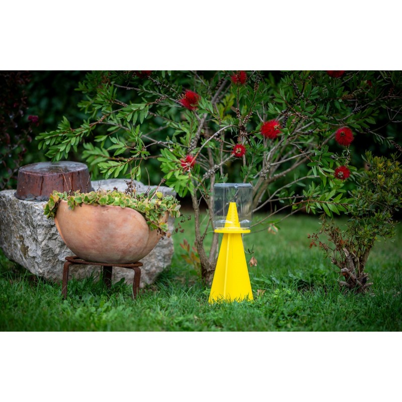 CYMATRAP GARDEN Trampa para chinches apestosas asiáticas InVerde