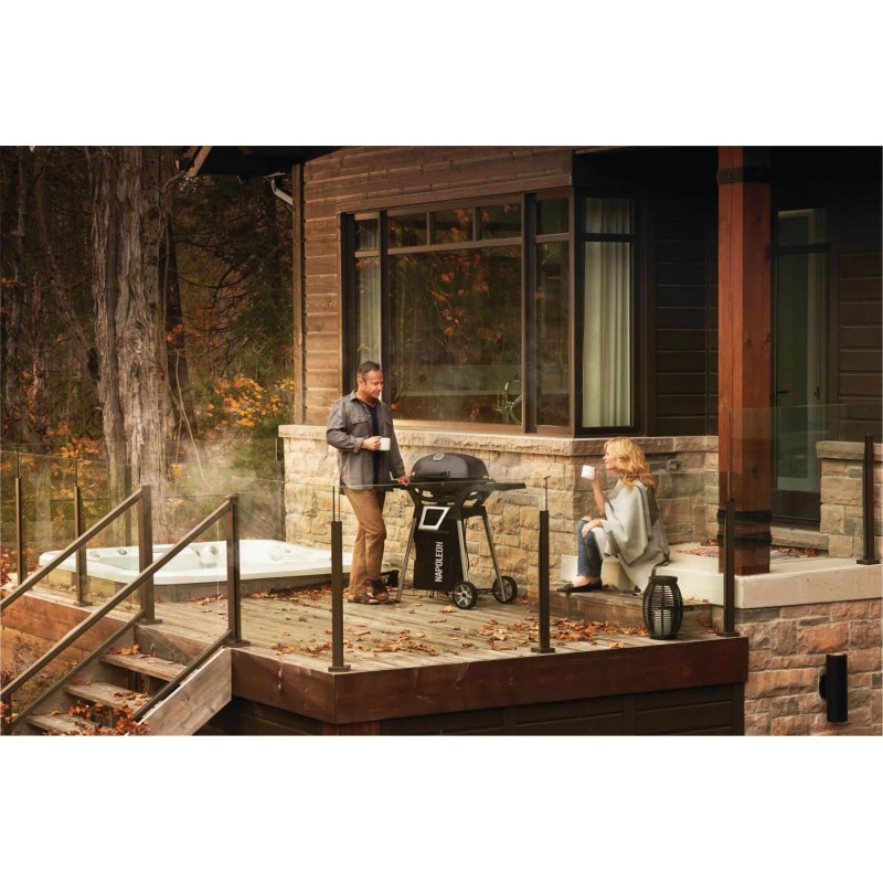 Barbacoa eléctrica Napoleon TRAVELQ Código PRO285-BK