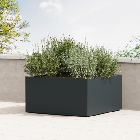 Fioriera Cubo Basso Herstera PLANTER LOW CUBE in Metallo colore Antracite 100x100x50 cm