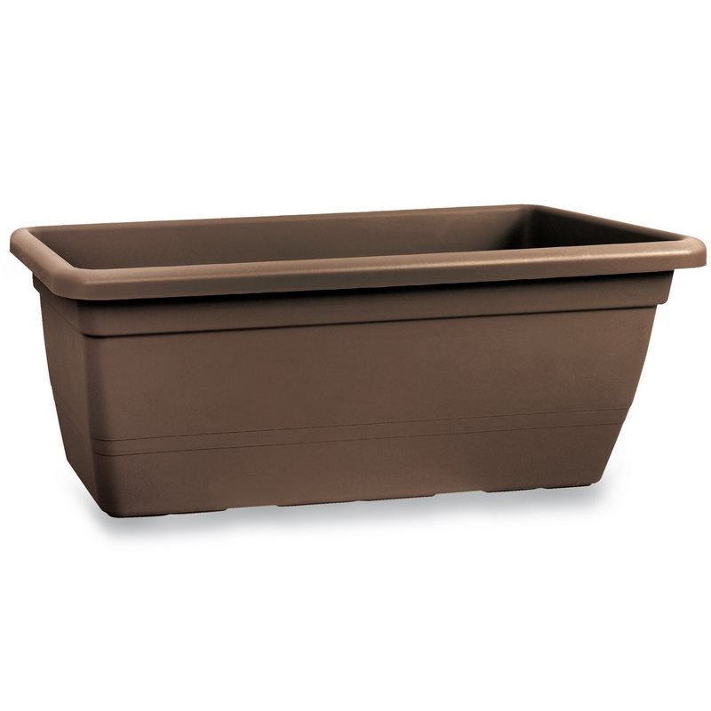 Caja de flores Anthea 50 cm