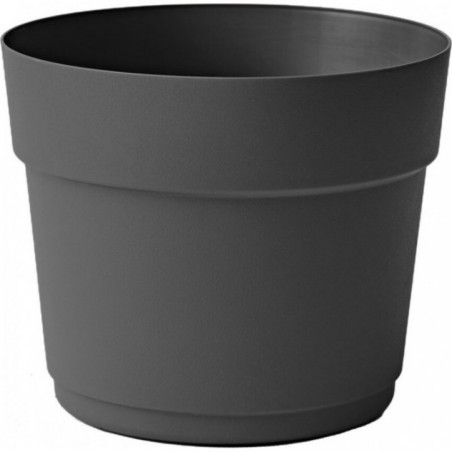 Vaso Bloom