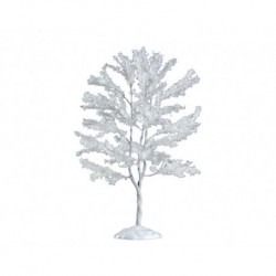 Black Walnut Tree Cod. 64094