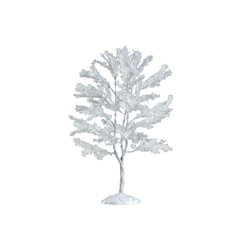 Black Walnut Tree Ref. 64094