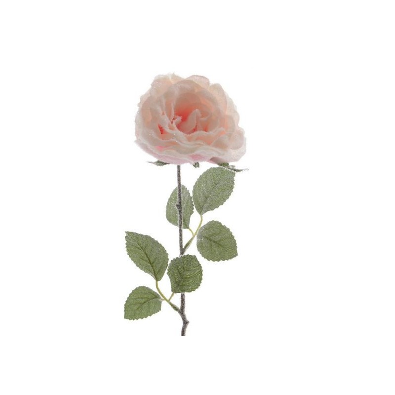 Pink single stem rose with snow