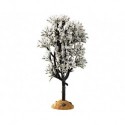 White Hawthorn Tree Ref. 94540