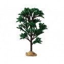 Green Elm Tree Ref. 94541