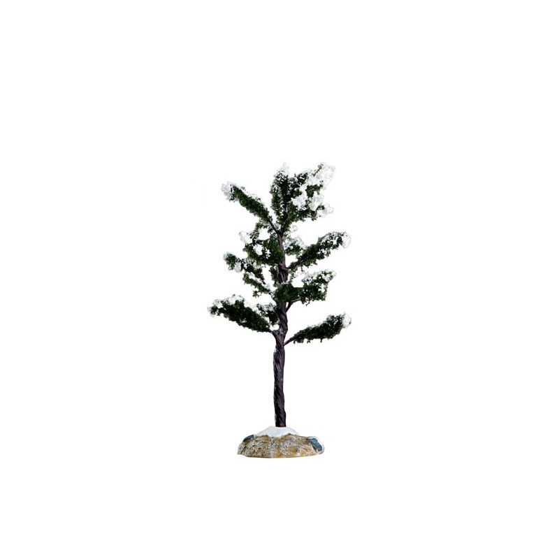 Conifer Tree, Small Ref. 64091