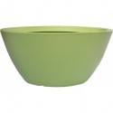 Camaiore Bowl