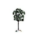 Balsam Fir Tree Small Ref. 64089