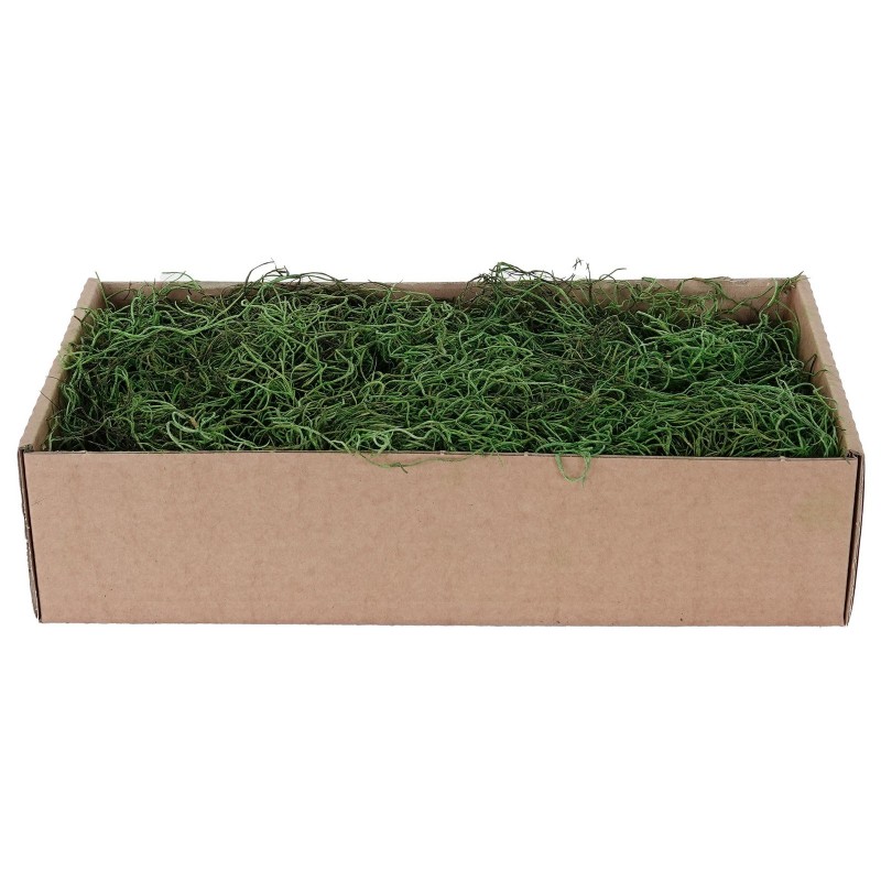 Green Spanish Moss 500 gr
