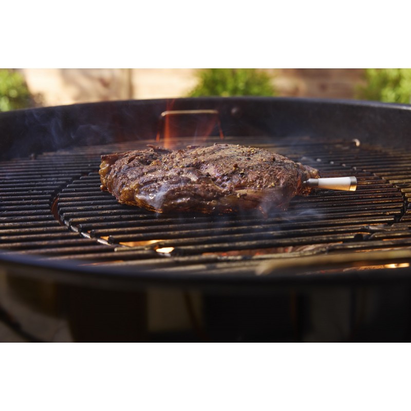 Weber Smart Probe Wireless with Charging Box White Cod. 3401151