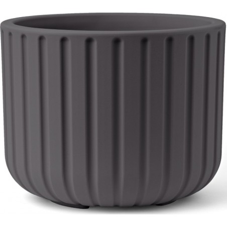 Vaso Echo