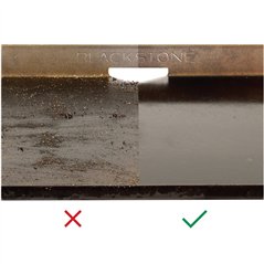 Spugne abrasive di ricambio Blackstone 10 pezzi Cod. 5063EU