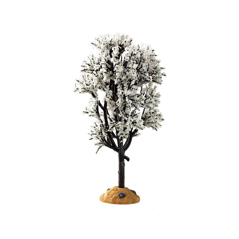 White Hawthorn Tree Réf. 94540