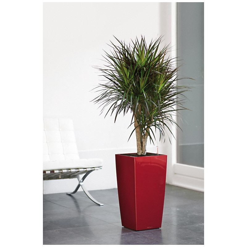 Lechuza Premium Ensemble complet de pots 30 cubes