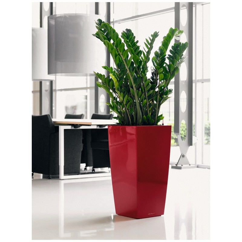 Premium Cubic Pot 50 Ensemble complet Lechuza