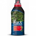 Liquide de verdissement IronMAX 500 ml SBM