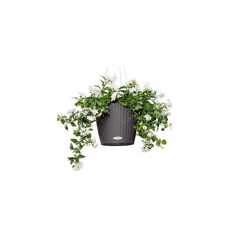 Vase Nido Cottage Lechuza Complete Set Vase Nido Cottage Lechuza Complete Set