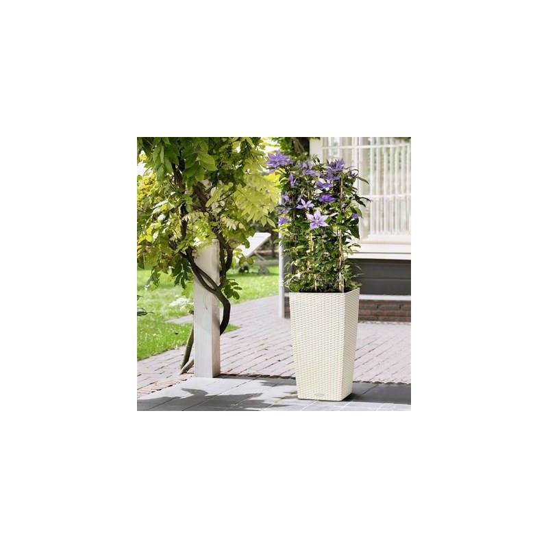 Cottage Cubic Vase 30 Lechuza Ensemble Complet