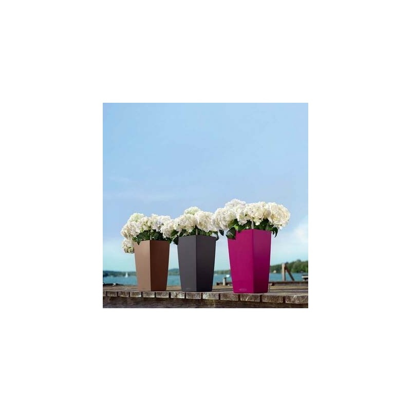 Lechuza Color 30 Cubic Vase Complete Set