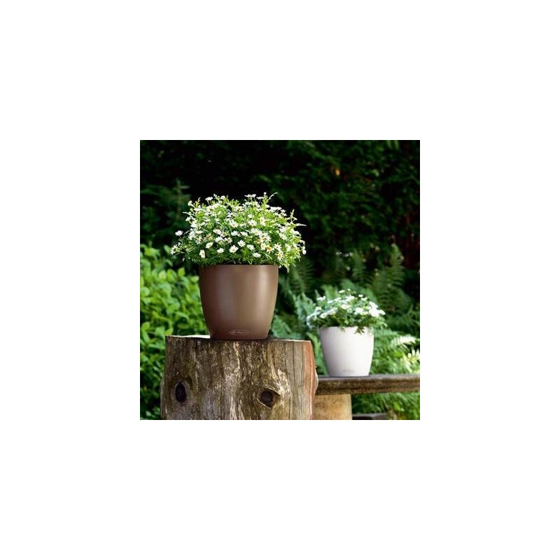 Vase Classique Couleur 35 Lechuza Set Complet