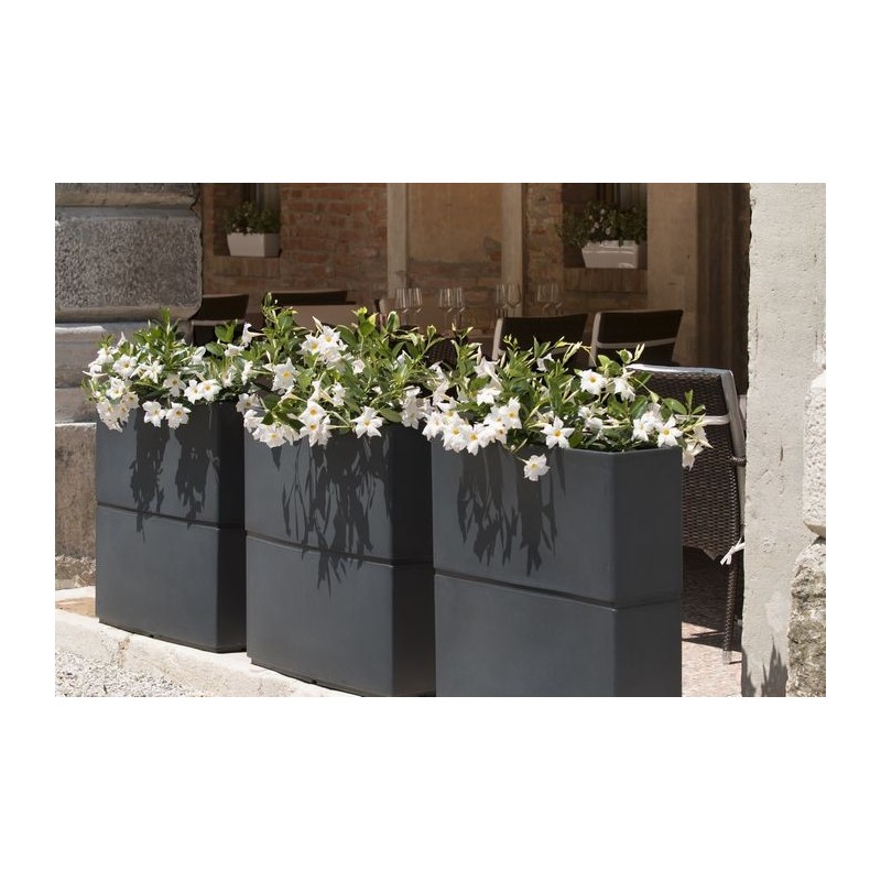 Jardinière de terrasse