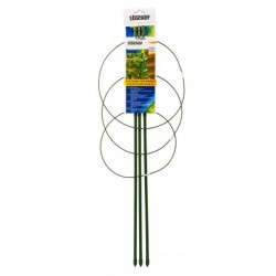Plante Stocker prend en charge 60 cm