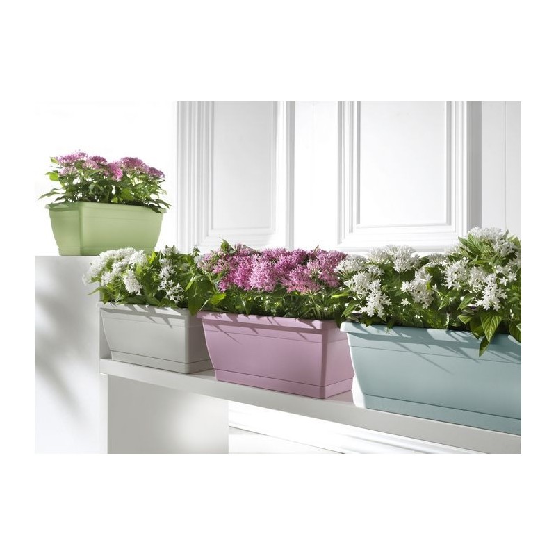 Roxanne cassette Roxanne cassette