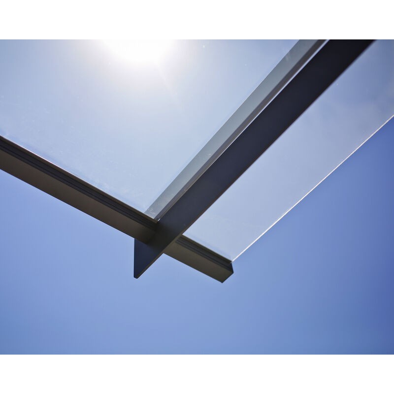 Canopia Abri extérieur Nancy 205X94 cm Transparent