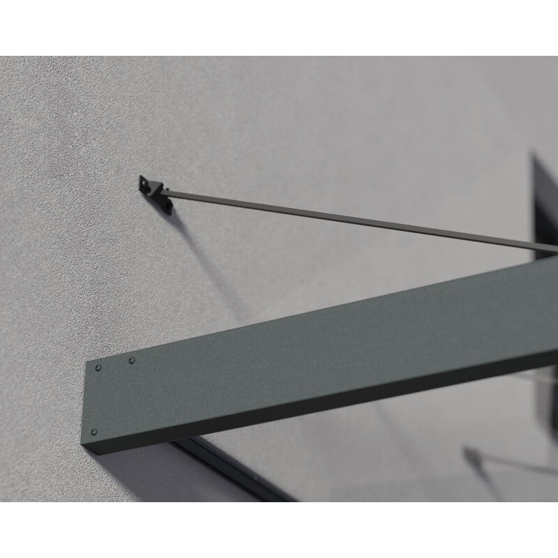 Canopia Abri extérieur Sophia XL 472X140X67 cm - Panneau transparent à structure grise