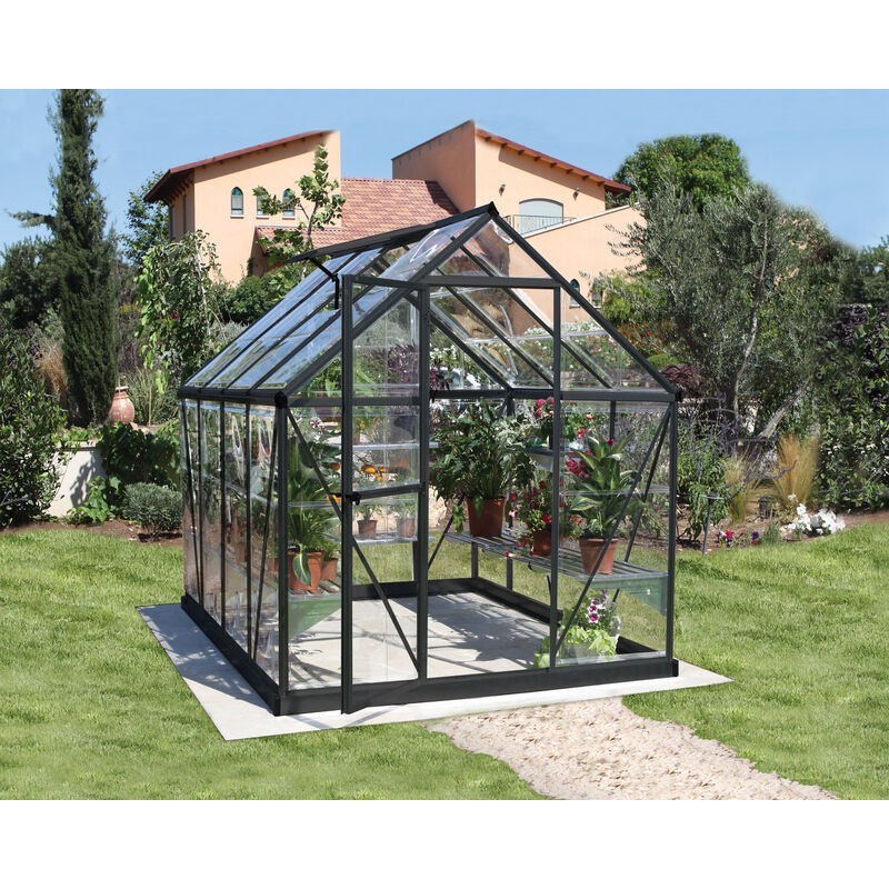 Canopia Serre de Jardin Transparente Harmony en Polycarbonate 247x185x208 cm Gris