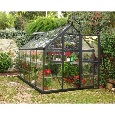 Canopia Serre de Jardin Transparente Harmony en Polycarbonate 306X185X208 cm Gris