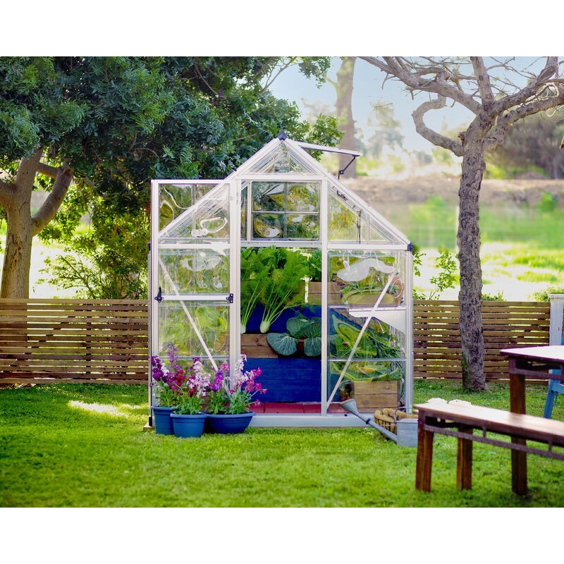 Canopia Serre de Jardin Transparente Harmony en Polycarbonate 247x185x208 cm Argenté