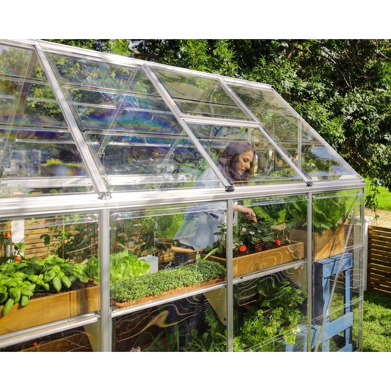 Canopia Harmony Serre de jardin transparente en polycarbonate 306x185x208 cm Argent Canopia Harmony Serre de jardin transparente en polycarbonate 306x185x208 cm Argent