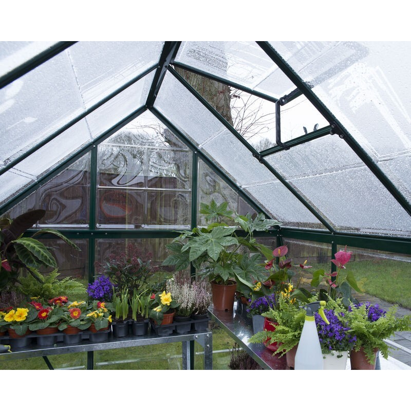 Canopia Harmony Transparent Garden Greenhouse in Polycarbonate 306X185X208 cm Green Canopia Harmony Transparent Garden Greenhouse in Polycarbonate 306X185X208 cm Green