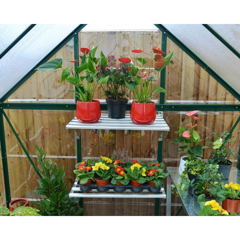 Serre de jardin hybride Canopia en polycarbonate 126x185x208 cm vert