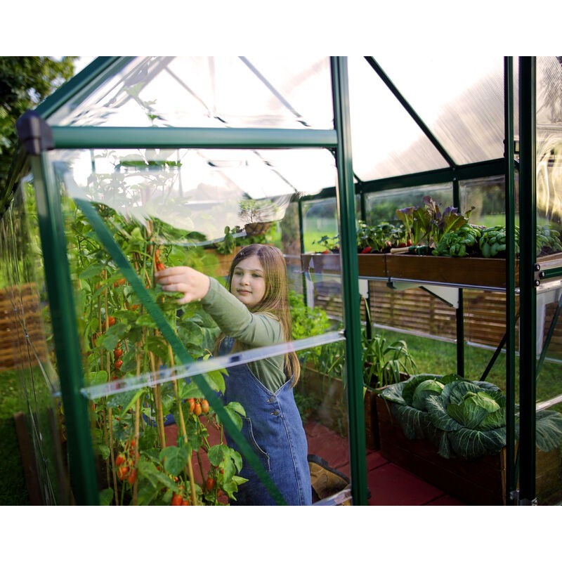 Canopia Hybrid Serre de jardin en polycarbonate 126x185x208 cm Vert Canopia Hybrid Serre de jardin en polycarbonate 126x185x208 cm Vert