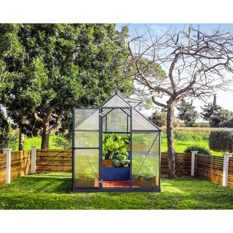 Canopia Hybrid Serre de jardin en polycarbonate 426x185x208 cm Vert
