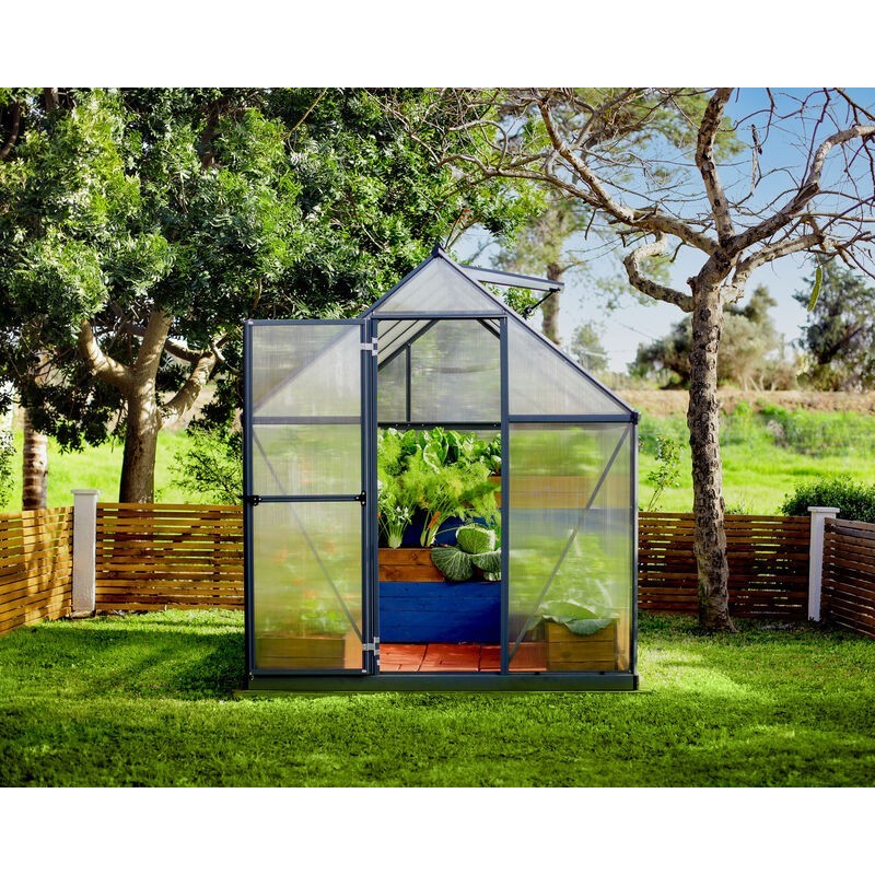 Canopia Hybrid Serre de jardin en polycarbonate 426x185x208 cm Vert
