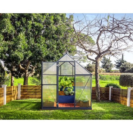 Canopia Mythos Serre de jardin double paroi en polycarbonate 247x185x208 cm Gris