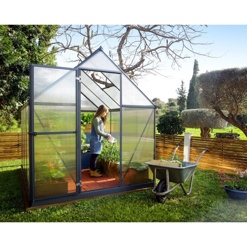 Canopia Mythos Serre de jardin double paroi en polycarbonate 247x185x208 cm Gris