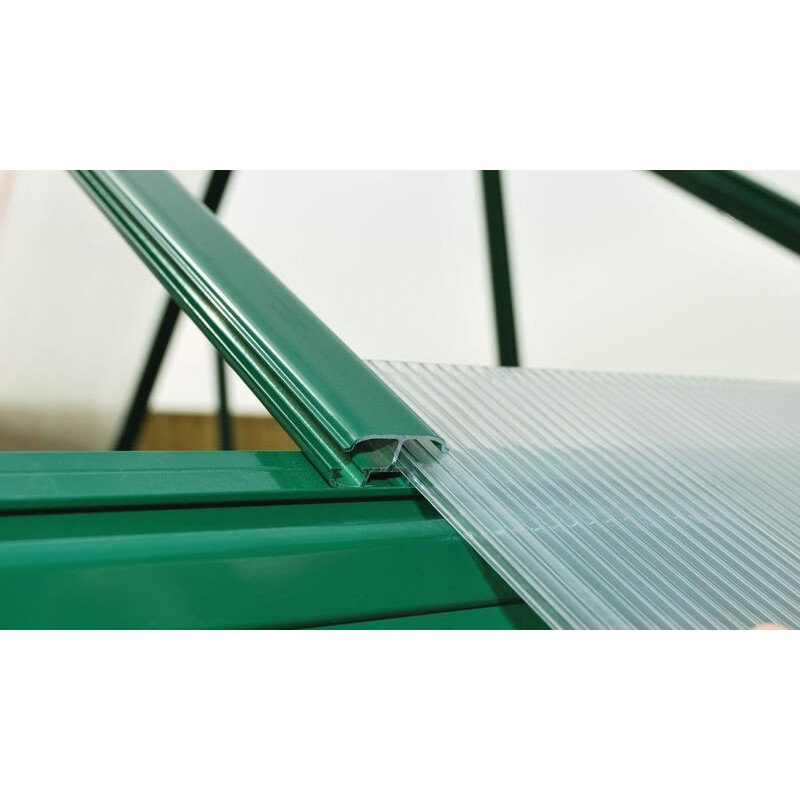 Canopia Serre de Jardin Double Couche Mythos en Polycarbonate 247x185x208 cm Vert