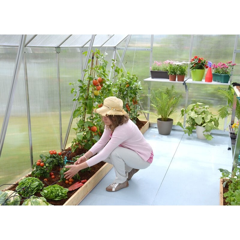 Canopia Essence Serre de jardin double paroi en polycarbonate 367x244x229 cm Argent Canopia Essence Serre de jardin double paroi en polycarbonate 367x244x229 cm Argent