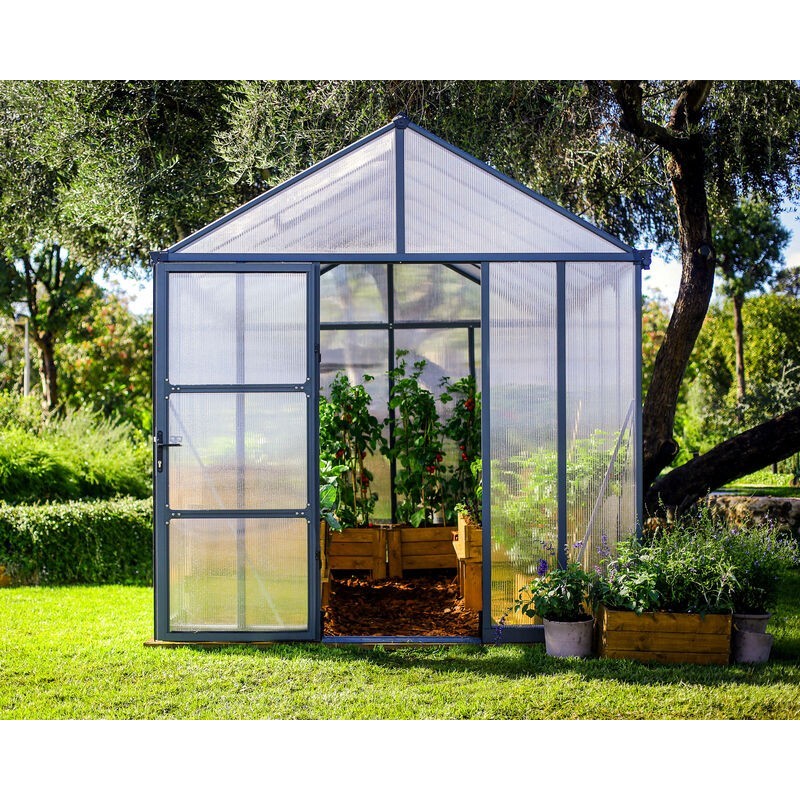 Serre de jardin Canopia Glory en polycarbonate premium 364X253X268 cm