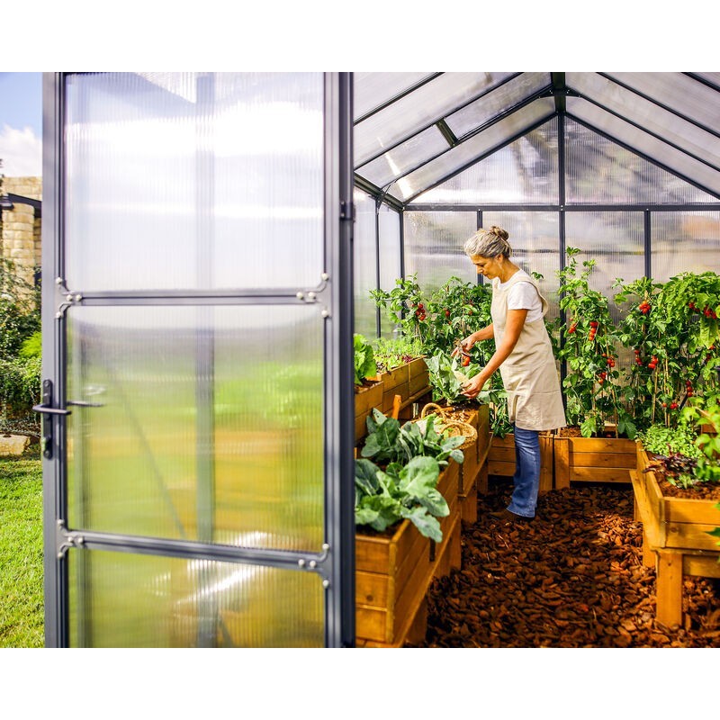 Canopia Glory Serre de jardin en polycarbonate 364x253x268 cm Canopia Glory Serre de jardin en polycarbonate 364x253x268 cm