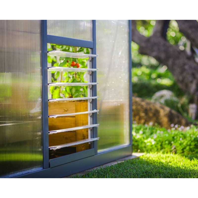 Serre de jardin Canopia Glory en polycarbonate premium 604X253X268 cm