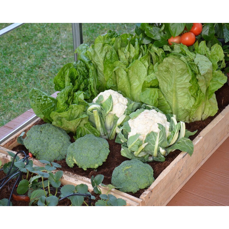 Canopia Drip Irrigation Kit